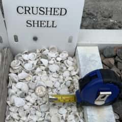Crushed Shell.